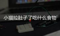 小貓拉肚子了吃什么食物好(小貓拉肚子吃什么食物)