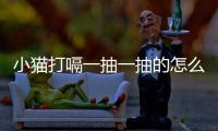 小貓打嗝一抽一抽的怎么辦？小貓打嗝正常嗎