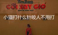 小貓打什么針咬人不用打狂犬疫苗(小貓打什么針預防貓瘟)