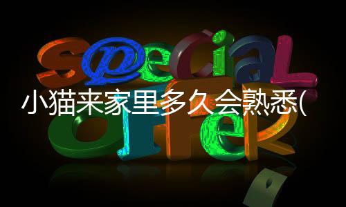 小貓來家里多久會熟悉(家里新來的小貓需要隔離多久)