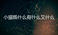 小貓既什么有什么又什么？小貓既什么又什么造句