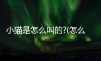 小貓是怎么叫的?(怎么弄小貓舒服)