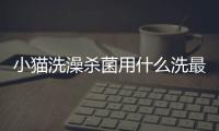 小貓洗澡殺菌用什么洗最好？小貓洗澡殺菌用什么洗液