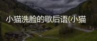 小貓洗臉的歇后語(小貓為什么洗臉)