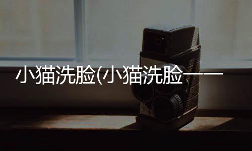 小貓洗臉(小貓洗臉一一( )歇后語)