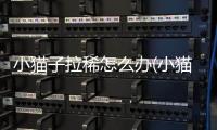 小貓子拉稀怎么辦(小貓子拉稀怎么回事)