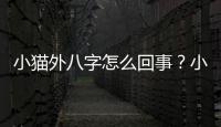 小貓外八字怎么回事？小貓外八字能改過來嗎