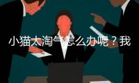小貓太淘氣怎么辦呢？我家貓特別淘氣怎么辦?