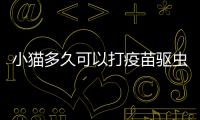 小貓多久可以打疫苗驅蟲藥  小貓多久可以打疫苗和驅蟲