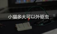 小貓多大可以外驅(qū)蟲