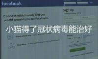 小貓得了冠狀病毒能治好嗎(小貓得冠狀病毒容易治好嗎)