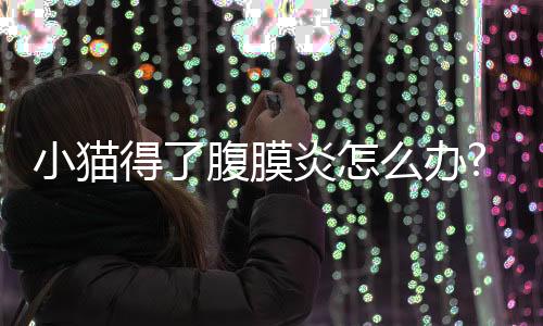 小貓得了腹膜炎怎么辦?(小貓腹膜炎怎么治療)