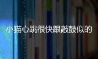 小貓心跳很快跟敲鼓似的(小貓心跳很快肚子一抽一抽的)