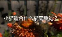 小貓適合什么貓窩睡覺？小貓適合什么貓窩呢