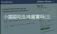 小貓能吃生雞蛋黃嗎(三個月小貓能吃生雞蛋嗎)