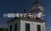 小貓能喝羊奶不(小貓一天喝多少羊奶)