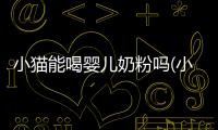 小貓能喝嬰兒奶粉嗎(小貓可以喝過期的嬰兒奶粉嗎)
