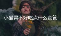 小貓胃不好吃點什么藥管用？幼貓胃不好吃什么