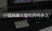 小貓胰腺炎能吃藥嗎多久能好？小貓胰腺炎能吃藥嗎能治好嗎