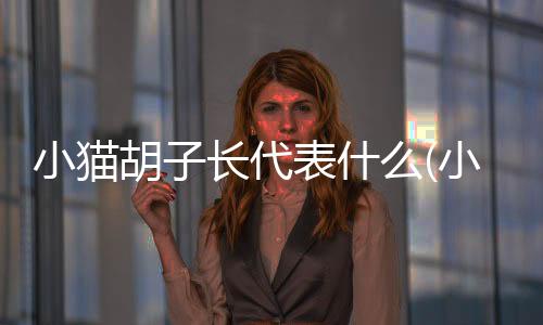 小貓胡子長(zhǎng)代表什么(小貓胡子長(zhǎng)可以剪嗎)