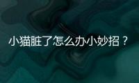 小貓臟了怎么辦小妙招？小貓臟兮兮的怎么辦