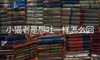 小貓老是想吐一樣怎么回事(兩月小貓拉稀嘔吐是怎么回事)