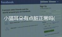 小貓耳朵有點臟正常嗎(小貓耳朵上有癬怎么辦)