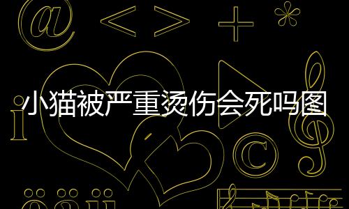 小貓被嚴重燙傷會死嗎圖片？貓貓被燙傷