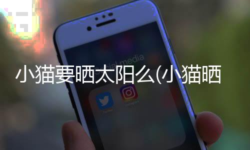小貓要曬太陽么(小貓曬太陽讀寫繪)