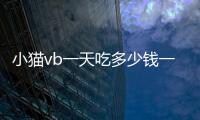 小貓vb一天吃多少錢一次