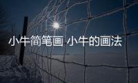 小牛簡筆畫 小牛的畫法