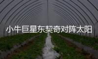 小牛巨星東契奇對陣太陽扭傷腳踝
