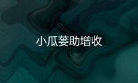 小瓜蔞助增收