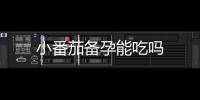 小番茄備孕能吃嗎