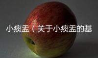 小痰盂（關(guān)于小痰盂的基本情況說明介紹）