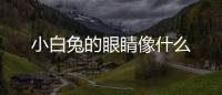小白兔的眼睛像什么