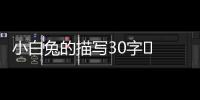 小白兔的描寫30字	 小白兔描述30個字