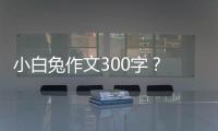 小白兔作文300字？ 小兔子優(yōu)秀作文300字