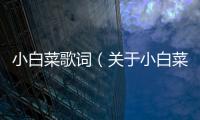 小白菜歌詞（關(guān)于小白菜歌詞的基本情況說明介紹）
