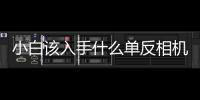 小白該入手什么單反相機(jī)（尼康D90攝影小白首選）