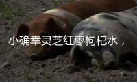 小確幸靈芝紅棗枸杞水，健康養生的秘密！