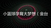 小籃球孕育大夢想（金臺隨筆）