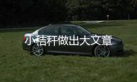 小秸稈做出大文章