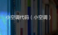 小空調代碼（小空調）