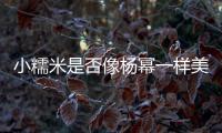 小糯米是否像楊冪一樣美？劉愷威：集合了各種優(yōu)點(diǎn)