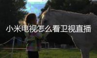 小米電視怎么看衛(wèi)視直播回放（小米電視怎么看衛(wèi)視直播）