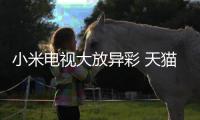 小米電視大放異彩 天貓雙11銷量再破紀錄勇奪兩項第一