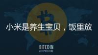 小米是養生寶貝，飯里放一把將會收到5大好處