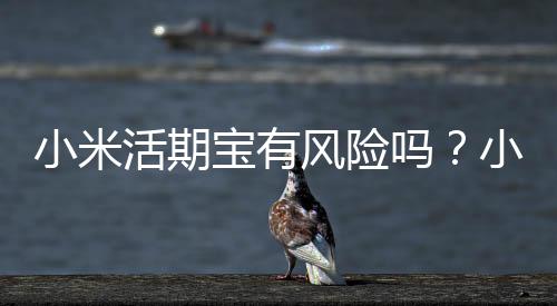 小米活期寶有風(fēng)險嗎？小米活期寶收益應(yīng)該怎樣算？
