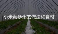 小米海參粥的做法和食材用料及健康功效
